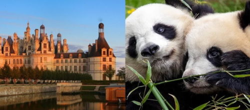 SEJOUR D’AUTOMNE – Du 4 au 7 Octobre 2022 – Beauval & Châteaux de la Loire
